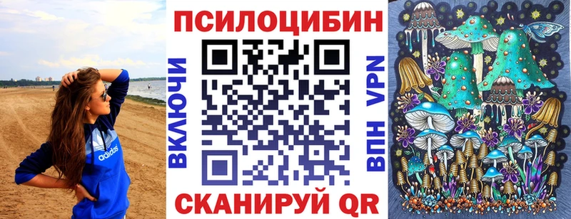 Галлюциногенные грибы Psilocybine cubensis  Каменск-Уральский 