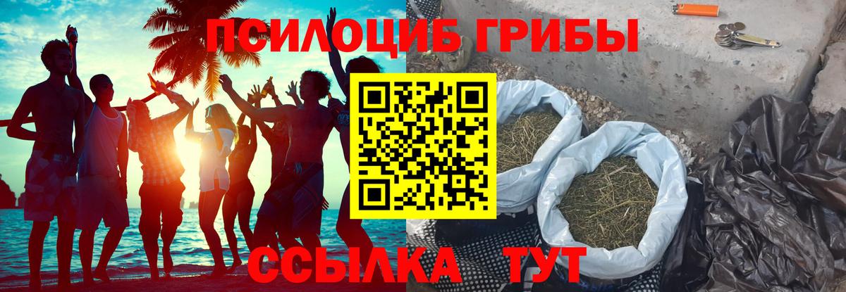 Каменск-Уральский  наркотики  Вход с VPN  Галлюциногенные грибы прущие грибы 